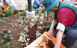 イベント：サムネイル画像