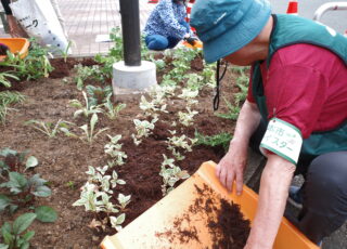 イベント：サムネイル画像