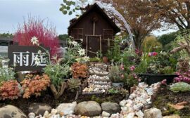 イベント：サムネイル画像