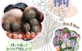 イベント：サムネイル画像