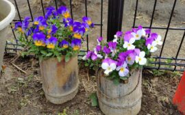 イベント：サムネイル画像