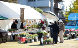 イベント：サムネイル画像