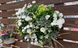 イベント：サムネイル画像