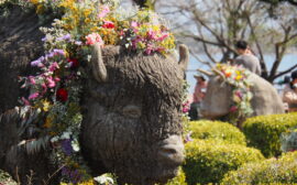 イベント：サムネイル画像