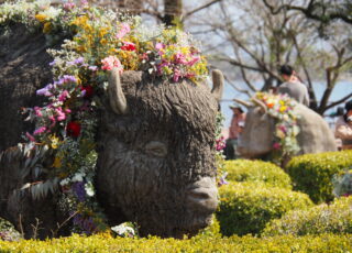 イベント：サムネイル画像