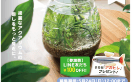 一人一花運動：サムネイル画像