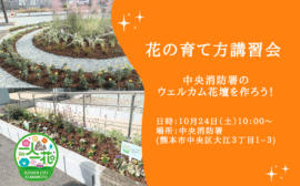 イベント：サムネイル画像